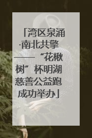 湾区泉涌·南北共擎——“花楸树”杯明湖慈善公益跑成功举办