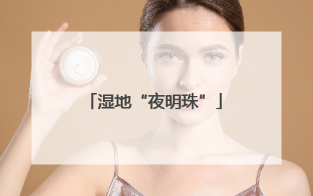 湿地“夜明珠”