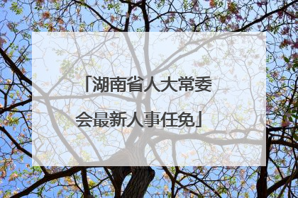 湖南省人大常委会最新人事任免
