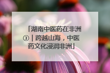 湖南中医药在非洲③｜跨越山海，中医药文化浸润非洲