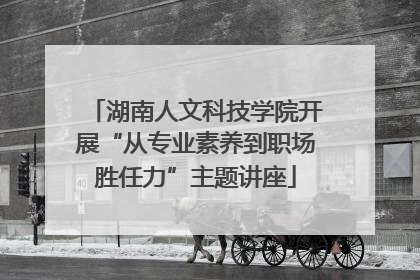 湖南人文科技学院开展“从专业素养到职场胜任力”主题讲座