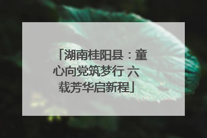 湖南桂阳县：童心向党筑梦行 六载芳华启新程