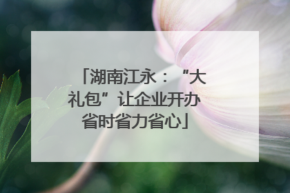 湖南江永：“大礼包”让企业开办省时省力省心