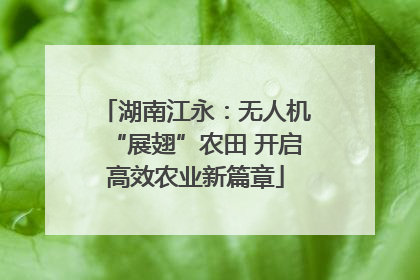 湖南江永：无人机“展翅”农田 开启高效农业新篇章