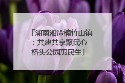 湖南湘潭楠竹山镇：共建共享聚民心 桥头公园惠民生