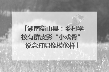 湖南衡山县：乡村学校有群皮影“小戏骨” 说念打唱像模像样