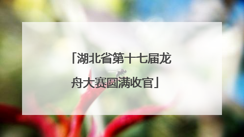 湖北省第十七届龙舟大赛圆满收官