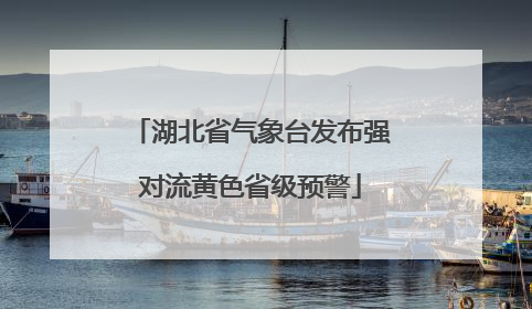 湖北省气象台发布强对流黄色省级预警