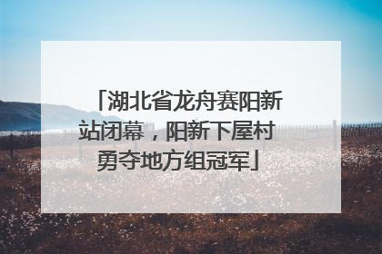 湖北省龙舟赛阳新站闭幕，阳新下屋村勇夺地方组冠军