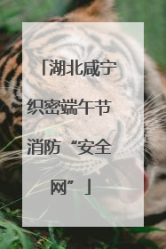 湖北咸宁织密端午节消防“安全网”