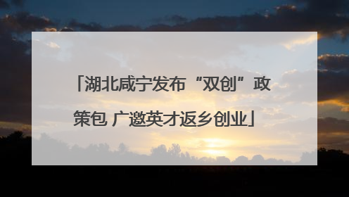 湖北咸宁发布“双创”政策包 广邀英才返乡创业