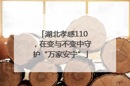 湖北孝感110，在变与不变中守护“万家安宁”