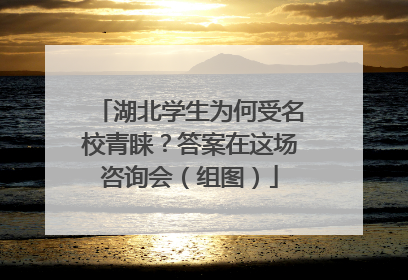 湖北学生为何受名校青睐？答案在这场咨询会（组图）