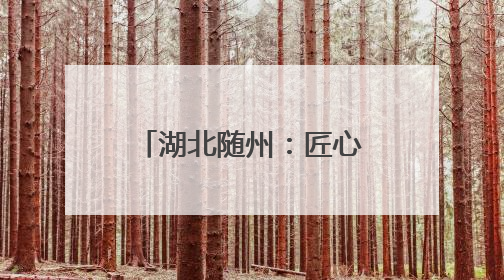 湖北随州：匠心筑牢无线屏障 电波护航华夏盛典