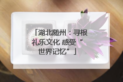 湖北随州：寻根礼乐文化 感受“世界记忆”