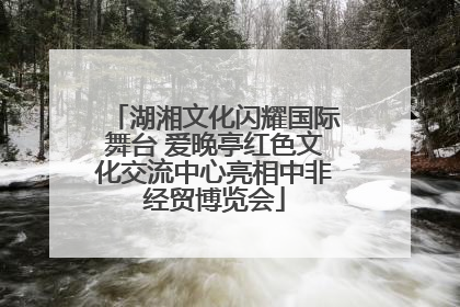 湖湘文化闪耀国际舞台 爱晚亭红色文化交流中心亮相中非经贸博览会