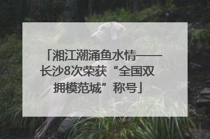 湘江潮涌鱼水情——长沙8次荣获“全国双拥模范城”称号