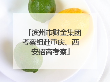 滨州市财金集团考察组赴重庆、西安招商考察
