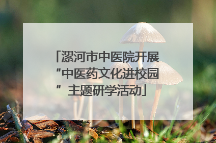 漯河市中医院开展“中医药文化进校园”主题研学活动
