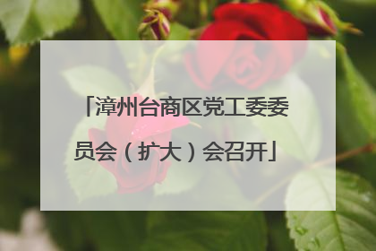 漳州台商区党工委委员会（扩大）会召开