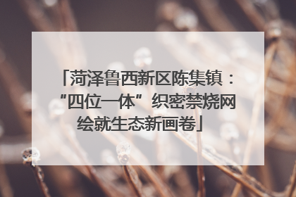 菏泽鲁西新区陈集镇：“四位一体”织密禁烧网 绘就生态新画卷