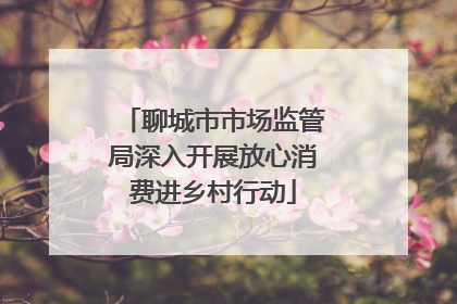 聊城市市场监管局深入开展放心消费进乡村行动