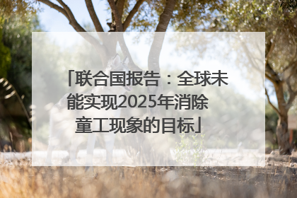 联合国报告：全球未能实现2025年消除童工现象的目标