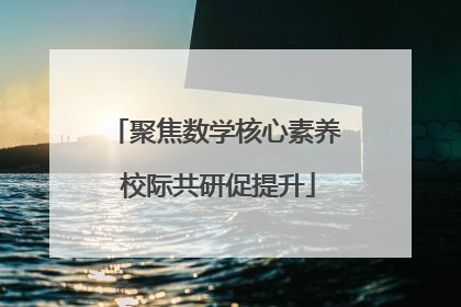 聚焦数学核心素养 校际共研促提升