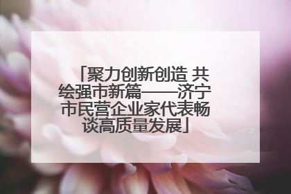 聚力创新创造 共绘强市新篇——济宁市民营企业家代表畅谈高质量发展