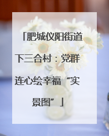 肥城仪阳街道下三合村：党群连心绘幸福“实景图”