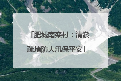 肥城南栾村：清淤疏堵防大汛保平安