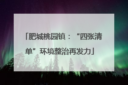 肥城桃园镇：“四张清单”环境整治再发力