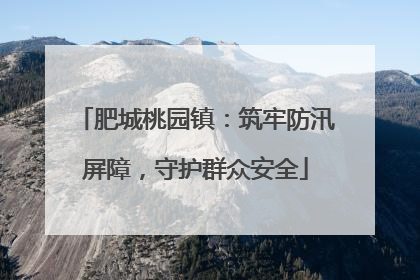 肥城桃园镇：筑牢防汛屏障，守护群众安全