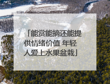 能赏能摘还能提供情绪价值 年轻人爱上水果盆栽