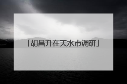 胡昌升在天水市调研