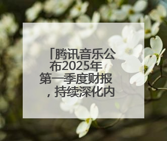 腾讯音乐公布2025年第一季度财报，持续深化内容生态建设
