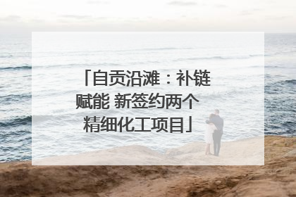 自贡沿滩：补链赋能 新签约两个精细化工项目