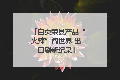 自贡荣县产品“火辣”闯世界 出口刷新纪录