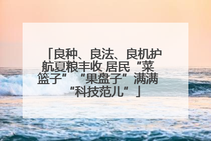 良种、良法、良机护航夏粮丰收 居民“菜篮子”“果盘子”满满“科技范儿”