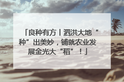 良种有方丨泗洪大地“种”出美妙，铺就农业发展金光大“稻”！
