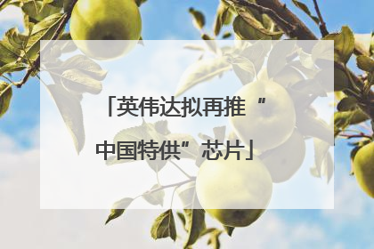 英伟达拟再推“中国特供”芯片
