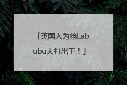 英国人为抢Labubu大打出手！