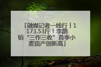 融媒记者一线行丨1173.53斤！李鹊镇“三作三收”首季小麦亩产创新高