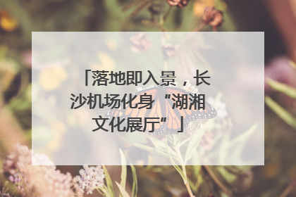 落地即入景，长沙机场化身“湖湘文化展厅”