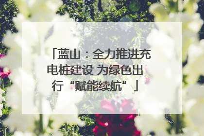 蓝山：全力推进充电桩建设 为绿色出行“赋能续航”