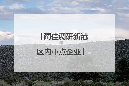 蔺佳调研新港区内重点企业