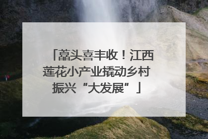 藠头喜丰收！江西莲花小产业撬动乡村振兴“大发展”