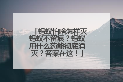 蚂蚁怕啥怎样灭蚂蚁不留痕？蚂蚁用什么药能彻底消灭？答案在这！