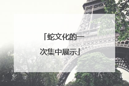 蛇文化的一次集中展示