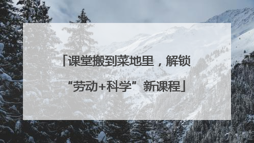 课堂搬到菜地里，解锁“劳动+科学”新课程